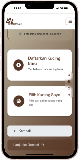 Phone Interface 3