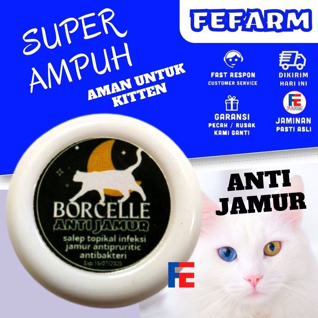 Borcele Cream Anti Jamur